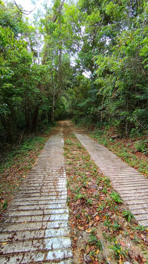 Terreno - Venda - Parada do Lago - Pacoti - CE