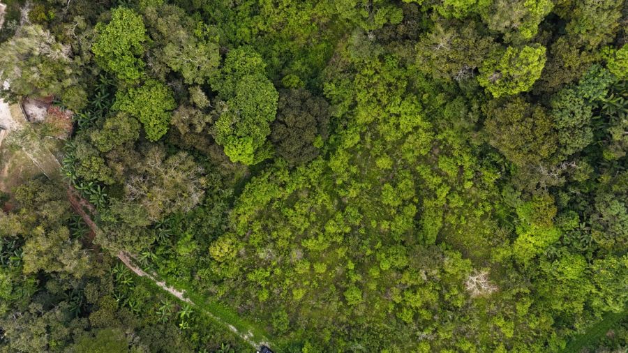 Terreno - Venda - Zona Rural - Guaramiranga - CE