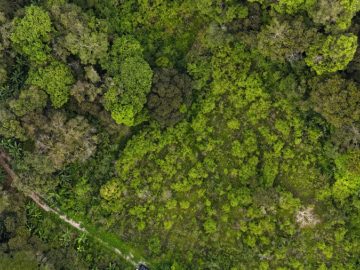 TERRENO BREJO DAS PEDRAS